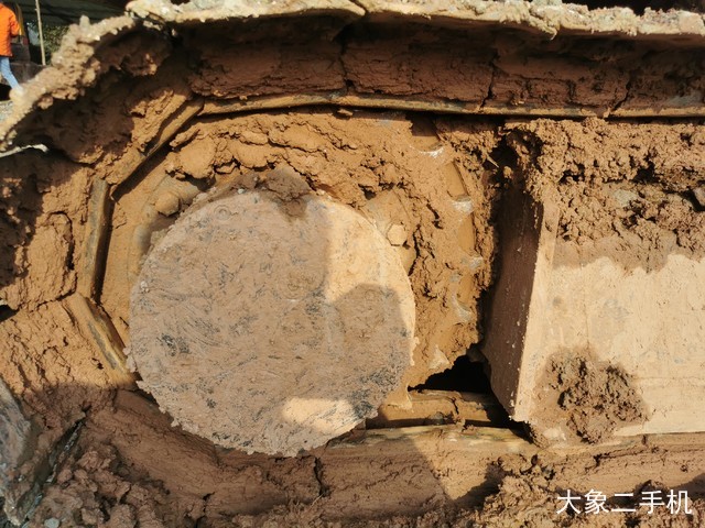 斗山 DX55-9C 挖掘机