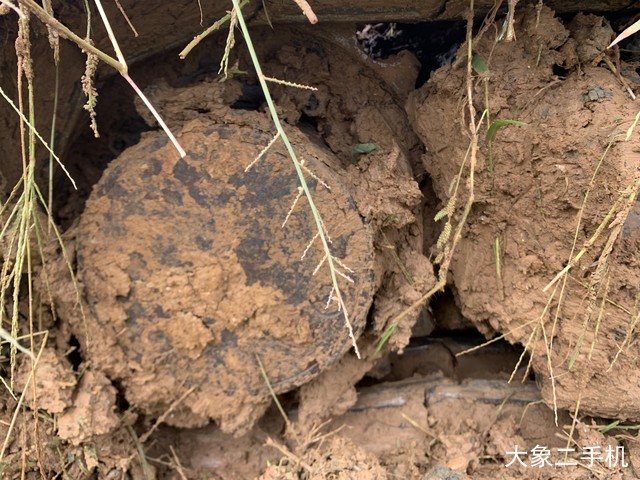 久保田 KX155-5 挖掘机