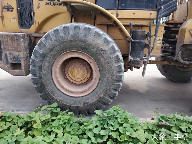 成工 ZL50E 装载机