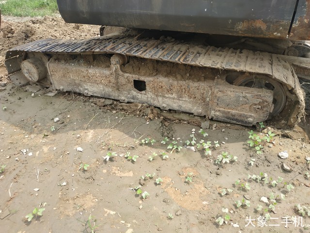 三一重工 SY55C 挖掘机