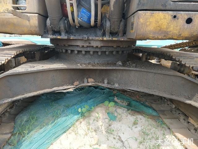 卡特彼勒 323DL 挖掘机