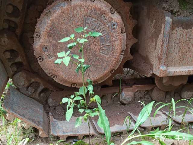 徐工 XE260C 挖掘机