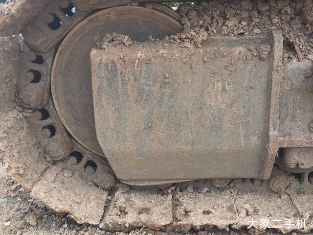 卡特彼勒 313D 挖掘机