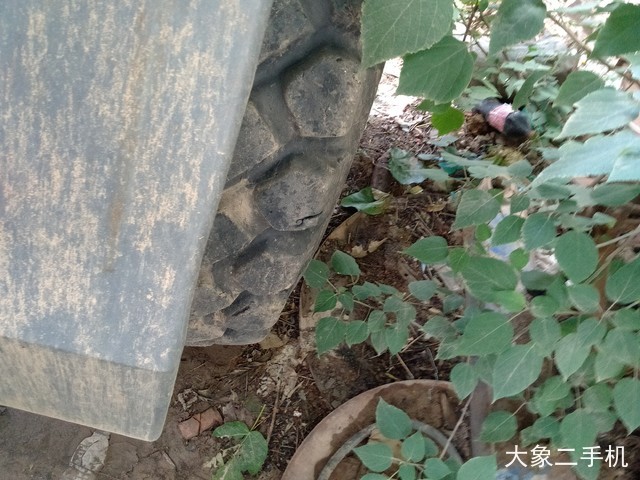 龙工 LG855B 装载机