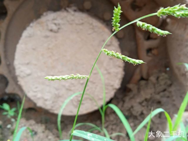 徐工 XE150D 挖掘机