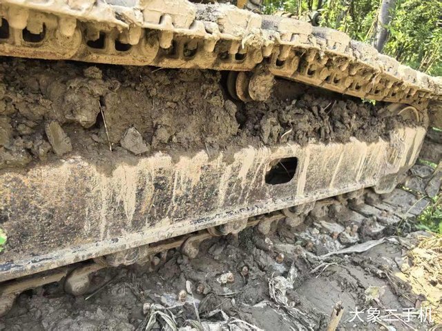 卡特彼勒 308B 挖掘机