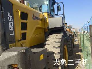 Lingong L955F Loader - 2